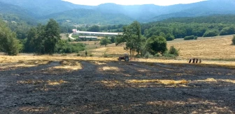 Bolu'da Buğday Tarlasında Yangın Çıktı