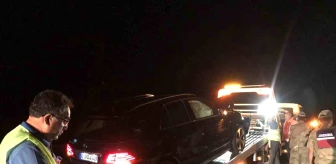 Bingöl'de otomobilin çarptığı inek telef oldu