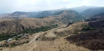 Afyonkarahisar'da çıkan yangında 75 hektarlık alan zarar gördü
