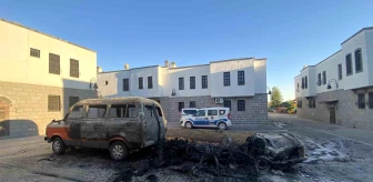 Diyarbakır'da park halindeki otomobil ve minibüs yangında kül oldu