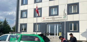 Edirne'de yaralı leylek tedavisi sonrası doğaya salındı