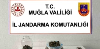 Muğla'da Uyuşturucu Operasyonu: Şüpheli Tutuklandı