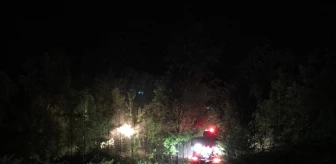 Sakarya'da Ormanlık Alanda Çıkan Yangın Söndürüldü