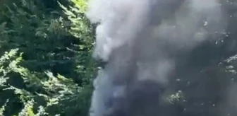 Sinop'ta Otomobil Yangını: Araç Alevlere Teslim Oldu