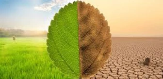 Yaşam Ayavefe ile İklim Değişikliği ve Adaptasyon Stratejileri