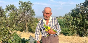 88 Yaşındaki Çiftçi Gençlere Tarımı Tavsiye Etti