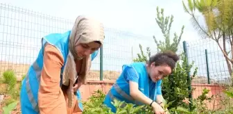 Adana Gençlik Merkezi, Doğal Tarım Ürünleriyle Çocuklara Katkı Sağlıyor