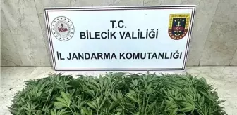 Bilecik'te Uyuşturucu Operasyonu: 2 Şüpheli Yakalandı