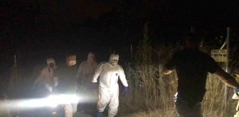 Bursa'da kayıp kadının cesedi zeytinlik alanda bulundu