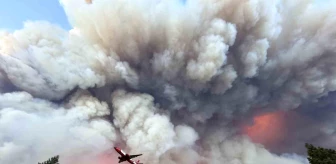 ABD'nin California Eyaletindeki Orman Yangını 145 Bin Dönüme Yayıldı