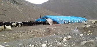 Van'ın Erciş ilçesinde çobanlar arasında çıkan kavgada 1 kişi öldü, 3 kişi yaralandı