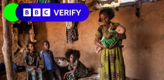 Etiyopya'da Açlık Krizi: Uydu Görüntüleri Acil Durumu Ortaya Koyuyor