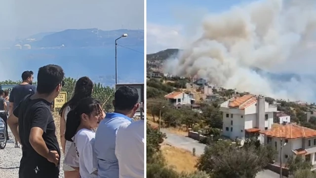 Пожар в лесу в Измире! Участок, к которому приближаются пламя, был эвакуирован.
