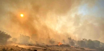 İzmir'in Dikili ilçesinde çıkan orman yangını kontrol altına alındı