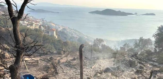 İzmir'de orman yangınında zeytin ağaçlarıyla birlikte bağ evi yandı