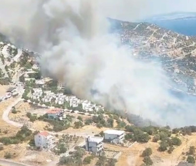 İzmir Dikili orman yangını söndürüldü mü? Orman yangınında son durum