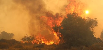 İzmir'in Dikili ilçesinde orman yangını! Alevler saatler sonra kontrol altına alındı