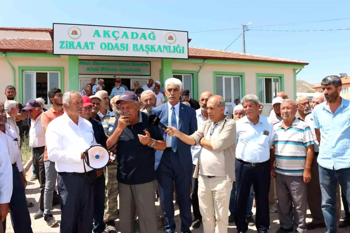 Malatya'da Kuru Kayısı Üreticileri Fiyatlarda İstikrar Bekliyor