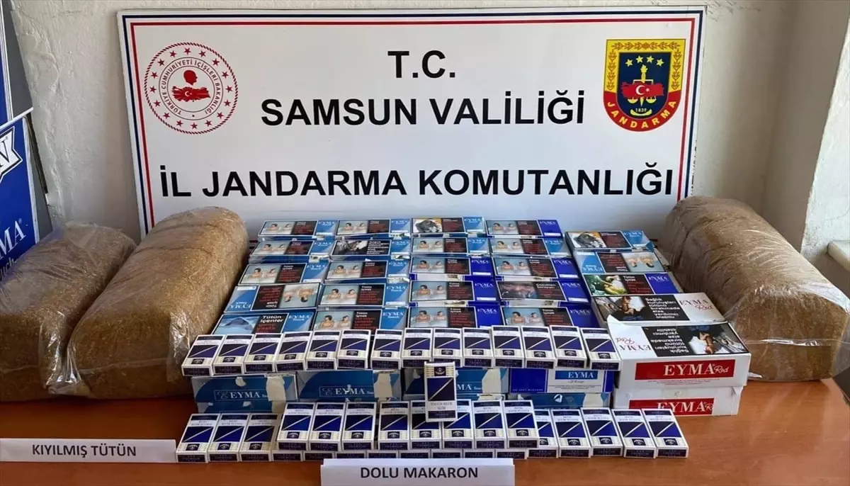 Samsun'da kaçakçılık operasyonunda 1 şüpheli gözaltına alındı