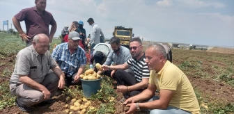 Afyonkarahisar Sandıklı'da Patates Hasadı Başladı