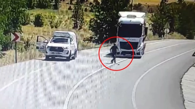 Во время попытки спасти раненую воробушка на середине дороги, на нее наехал грузовик.