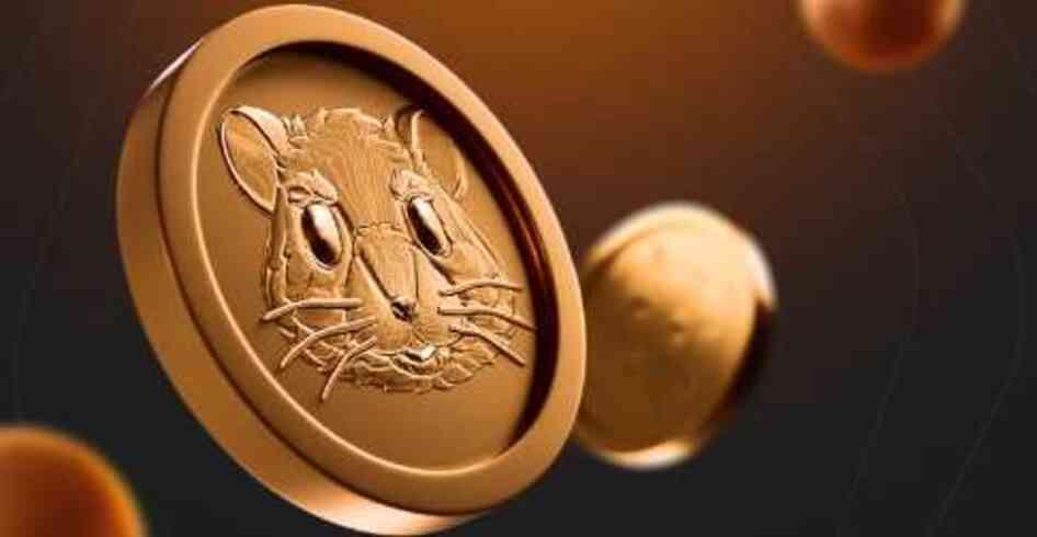 28 TEMMUZ PAZAR HAMSTER KOMBAT GÜNLÜK ŞİFRE KOMBO | Hamster Kombat yeni şifre ne, nasıl kullanılır? Hamster Kombat nedir?