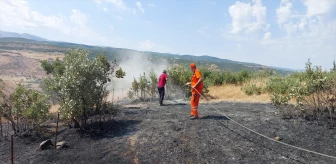 Bingöl'de çıkan orman ve örtü yangınları söndürüldü