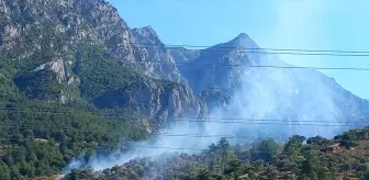 Manisa'da makilik alanda çıkan yangın söndürüldü