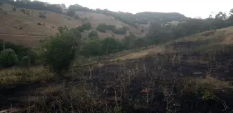 Bingöl'ün Kiğı ilçesinde çıkan örtü yangını söndürüldü