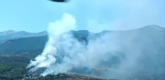 Hatay'ın Hassa ilçesinde orman yangınına müdahale başladı