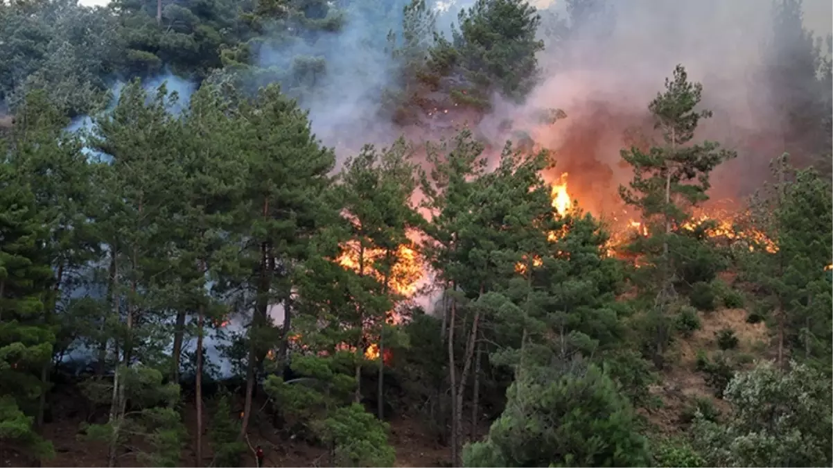 Kahramanmaraş'taki orman yangınının nedeni 