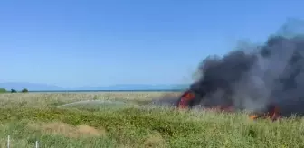 Orhangazi'de sazlık alanda yangın çıktı