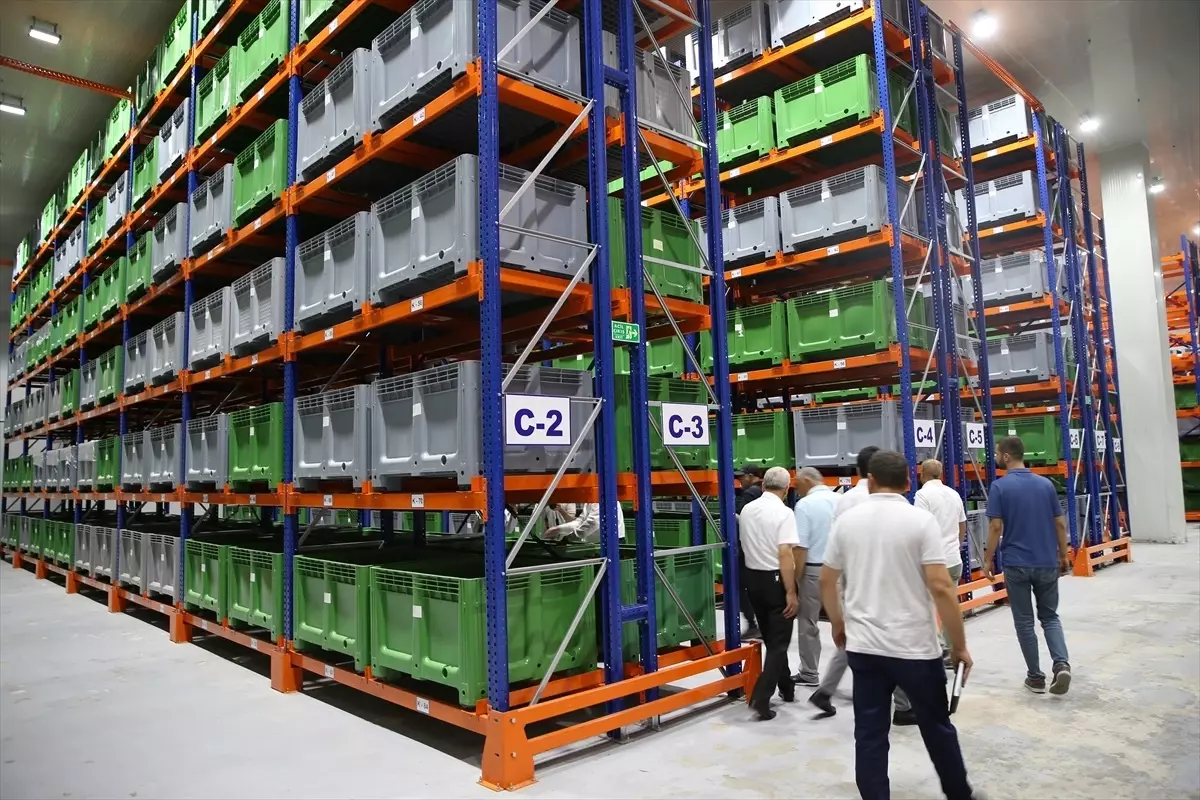 Malatya'daki Lisanslı Depolara 16 Günde 1400 Ton Kuru Kayısı Teslim Edildi