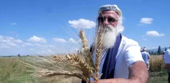 Erzurum'da Yeni Bir Ekmeklik Buğday Çeşidi Geliştirildi