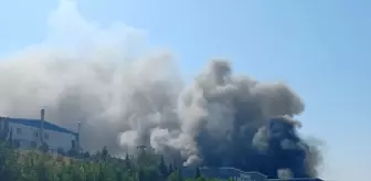 Tekirdağ'ın Hayrabolu ilçesinde 2 fabrikada çıkan yangına müdahale ediliyor