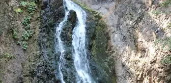 Karabük'teki Baklabostan Tabiat Parkı Tatilcilerin İlgi Odağı