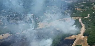 Bingöl'ün Genç ile Kiğı ilçelerinde çıkan orman yangınları söndürüldü