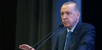 CHP'li vekilin 'Mavi Vatan masalı' sözlerine Cumhurbaşkanı Erdoğan'dan sert tepki