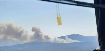 İzmir Urla'da Orman Yangınına Müdahale Ediliyor