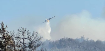 İzmir Urla'da Orman Yangını: Havadan ve Karadan Müdahale Devam Ediyor