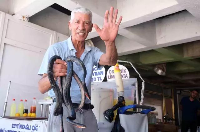 Koynunda beslediği yılanlar böyle ısırdı Koynunda beslediği yılanlar böyle ısırdı