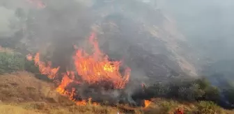 Bingöl'ün Genç ilçesinde çıkan orman yangını söndürüldü