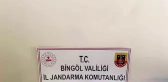 Bingöl'de 6 Bin 283 Kök Kenevir ve Ruhsatsız Av Tüfeği Ele Geçirildi