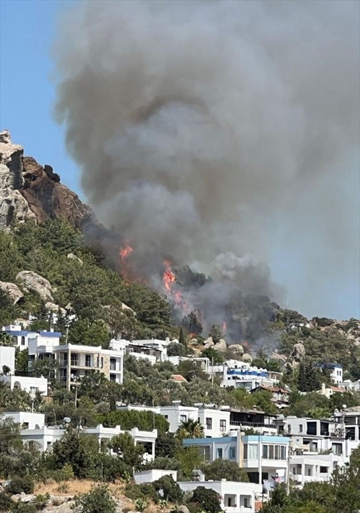 Bodrum'da çıkan yangın kontrol altına alındı