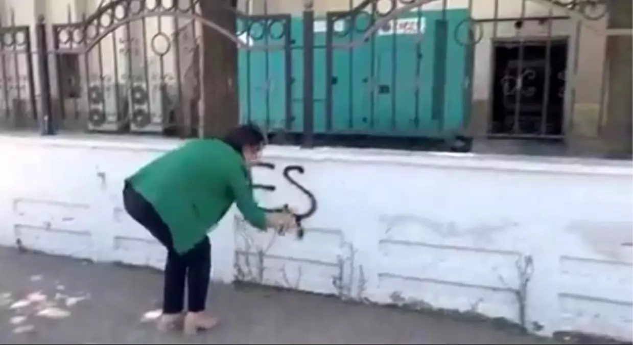 DEM Parti Milletvekili Zeynep Oduncu, Batman Valiliği duvarına Kürtçe yazılar yazdı