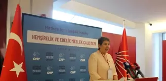 CHP Genel Başkan Yardımcısı Zeliha Aksaz Şahbaz: 'Ülkemizde bir hekim için mevcut hemşire sayısı yetersiz'