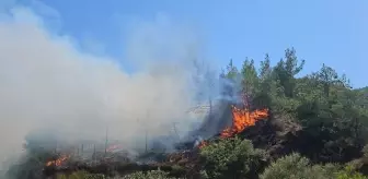 Antakya'da ormanlık alanda çıkan yangına müdahale başlatıldı