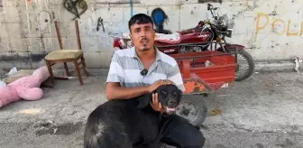 İskenderun'da Kamyonetin Arkasına Bağlanan Köpek Yerlerde Sürüklendi