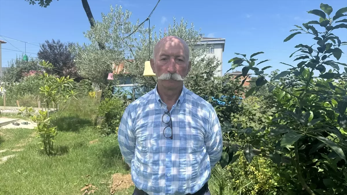 Trabzon'da fındık üreticisi, harmanda yerden ısıtma sistemini faaliyete geçiriyor