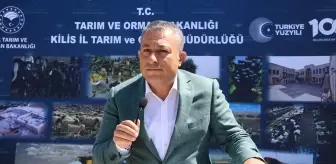 Kilis'te küçükbaş hayvancılığa destek